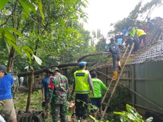 Gercep! Polsek Nogosari Tangani Pohon Tumbang Timpa Rumah Warga*