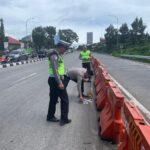 Pasca Laka beruntun di Bawen, tim TAA Polda Jateng lakukan olah TKP.