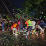 Cuaca Ekstrem Sebabkan Pohon Tumbang di Jalan Fatmawati, Kapolsek Tembalang Pimpin Langsung Penanganan