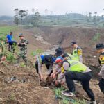 Polsek Karangreja Ikuti Aksi Penanaman 5.000 Pohon di Gunung Malang