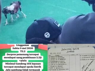 Diduga Arena Sabung Ayam Berkedok “Hobi” Beroperasi di Kemangkon Purbalingga, Aparat Diminta Bertindak Tegas