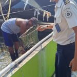 SAE Berkarya, Warga Binaan Berdaya!"  Panen Lele di Lahan SAE Lapas Kelas IIB Pati, Dukung Ketahanan Pangan dan Pembinaan Kemandirian WBP