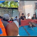 Diduga Aktivitas Sabung Ayam Kembali Meresahkan Warga Desa Wingko Tinumpuk, Masyarakat Minta Aparat Bertindak Tegas